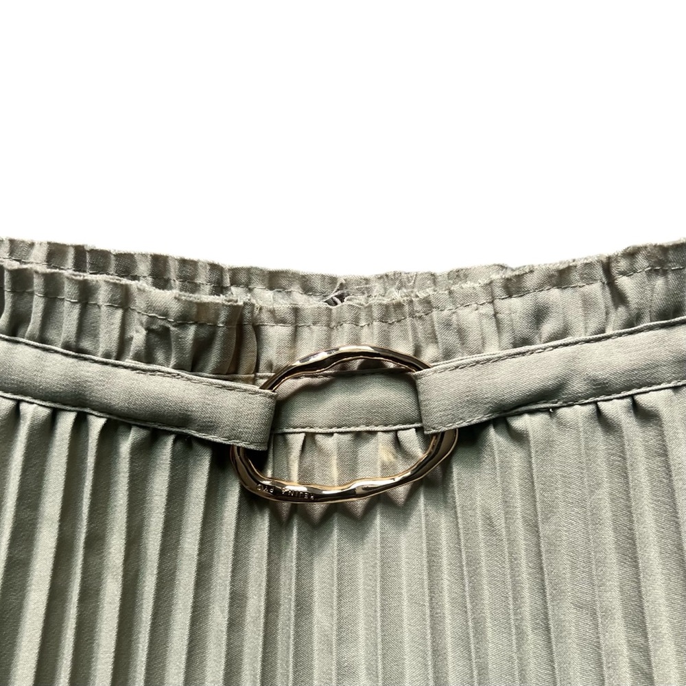 Rejina Pyo Green Pleated Midi A-Line Skirt Gold Buckle Size XS - Picture 5 of 6
